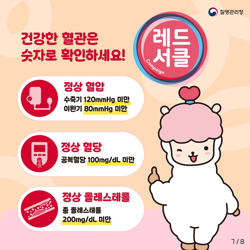 7.레드서클 캠페인|혈압·혈당·콜레스테롤 관리 안내